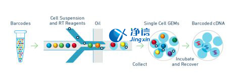 中國人自己的微流控單細(xì)胞測(cè)序儀來了！_微流控Drop-seq,微流控技術(shù)