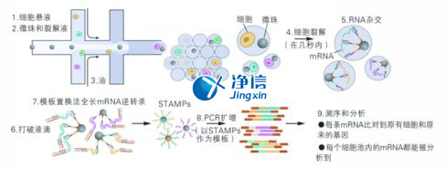 中國人自己的微流控單細(xì)胞測(cè)序儀來了！_微流控Drop-seq