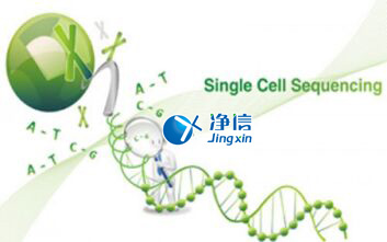 中國人自己的微流控單細(xì)胞測(cè)序儀來了！_微流控Drop-seq,微流控技術(shù)